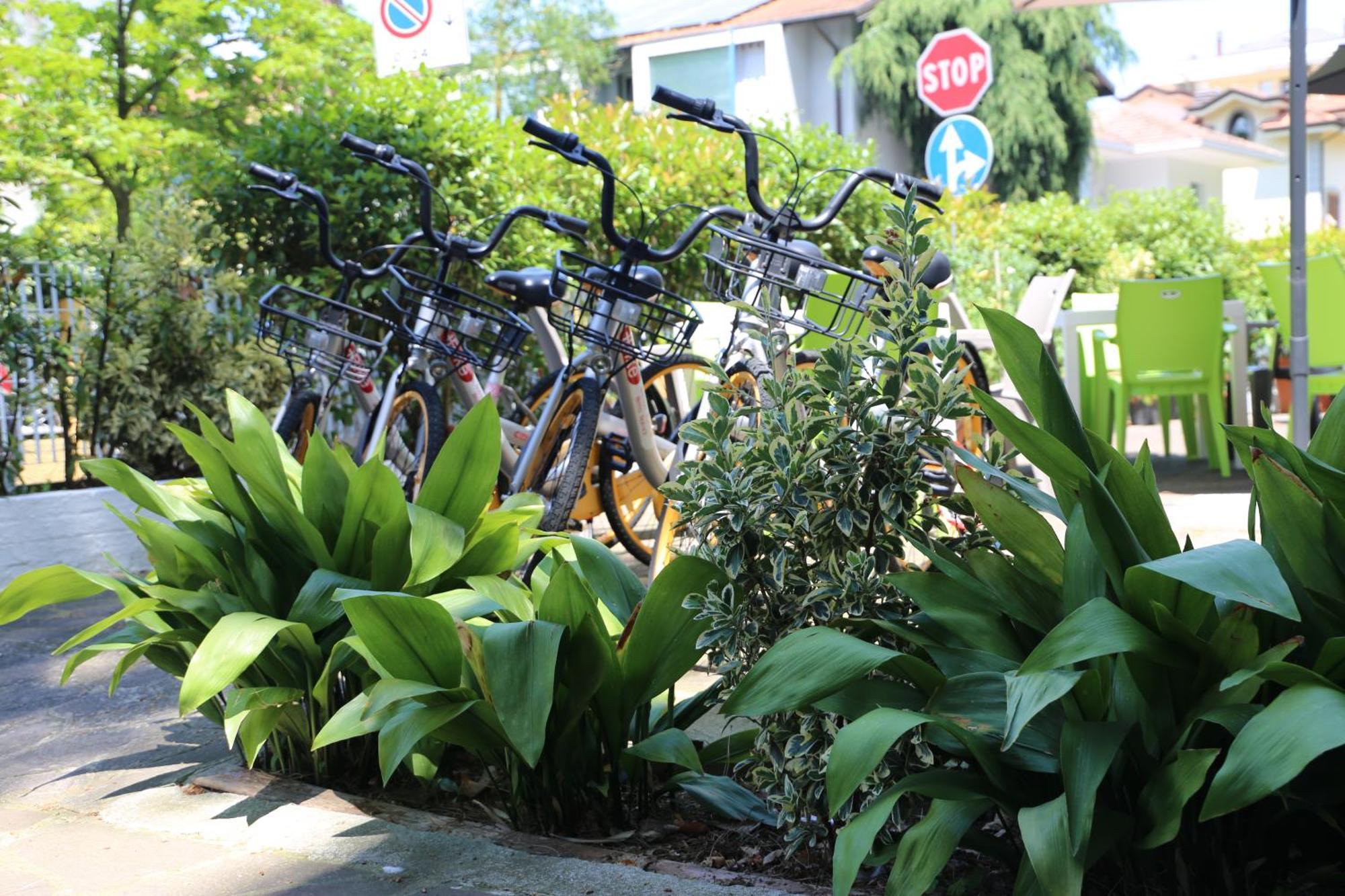 Hotel Senza Pensieri ริชโชเน ภายนอก รูปภาพ